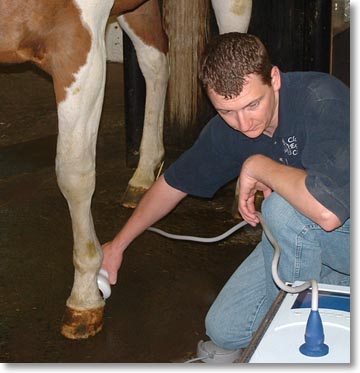 Equine lameness specialist, including digital thermal imaging (thermography), digital radiography, extracorporeal shock wave therapy, arthroscopic and laser surgery, ultrasound, endoscopy, equine denistry and much more. Located in Albion, Idaho